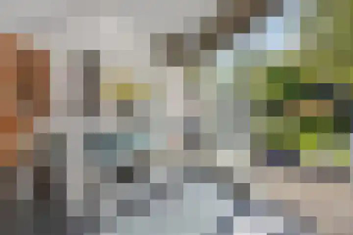 Parkweg 250 Voorburg thumbnail 32