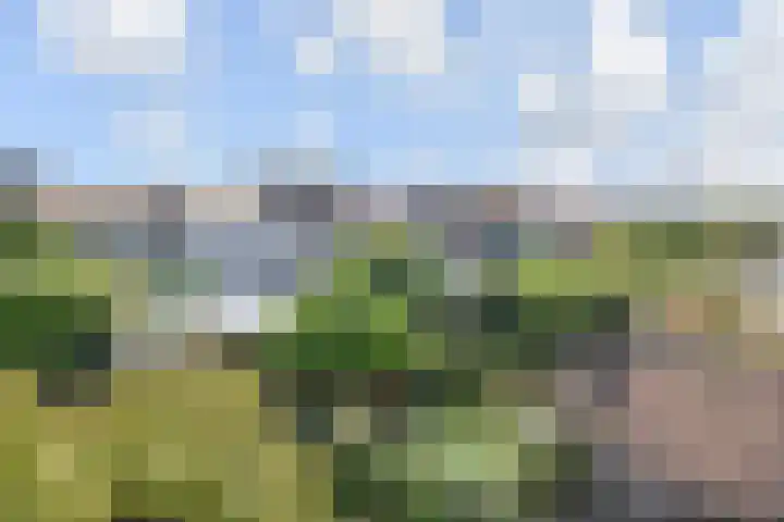 Parkweg 250 Voorburg thumbnail 37