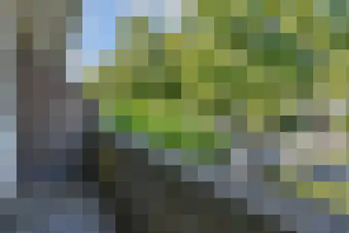 Parkweg 250 Voorburg thumbnail 41