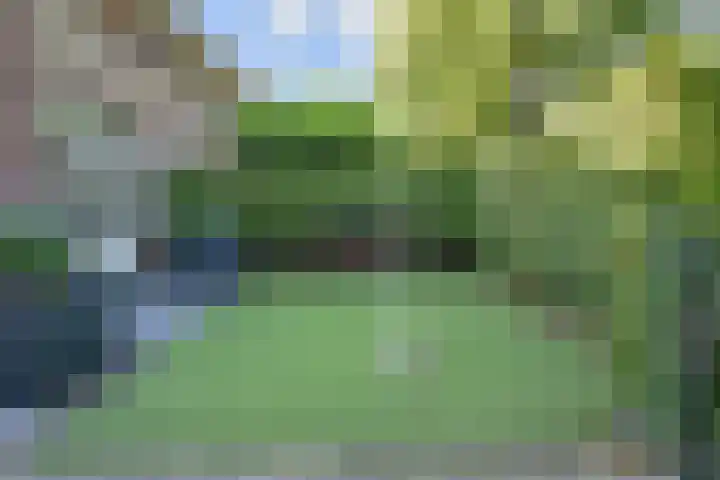 Parkweg 250 Voorburg thumbnail 5