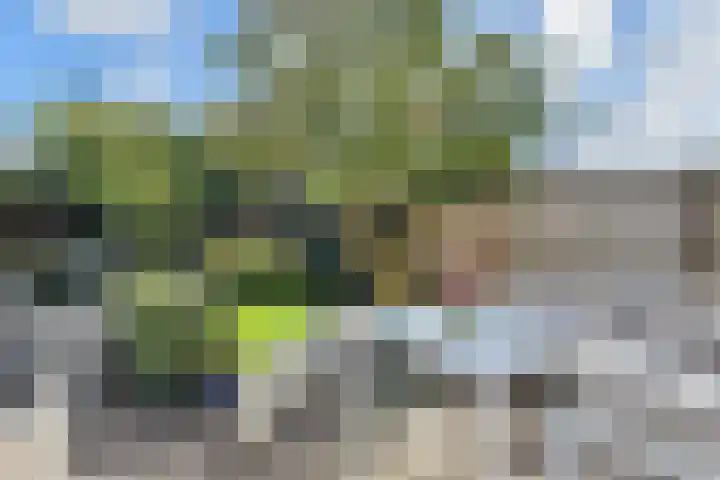 Parkweg 250 Voorburg thumbnail 56