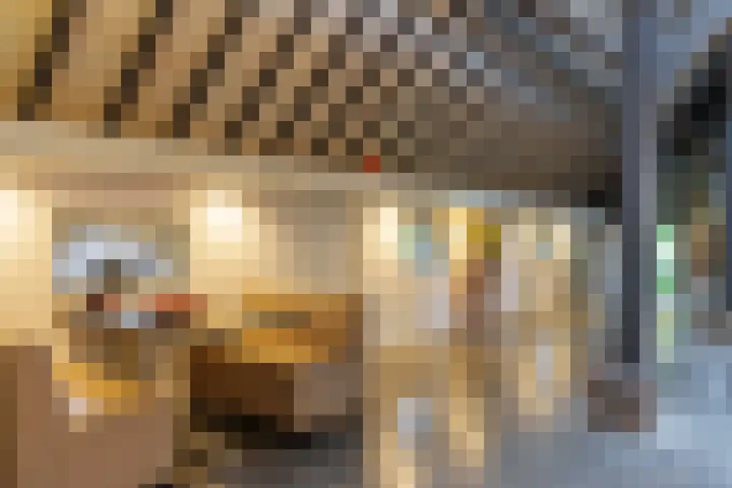 Parkweg 26 Vleuten thumbnail 13