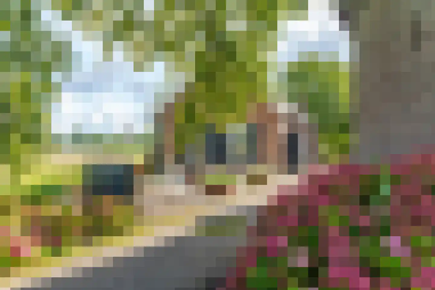 Parkweg 26 Vleuten thumbnail 34
