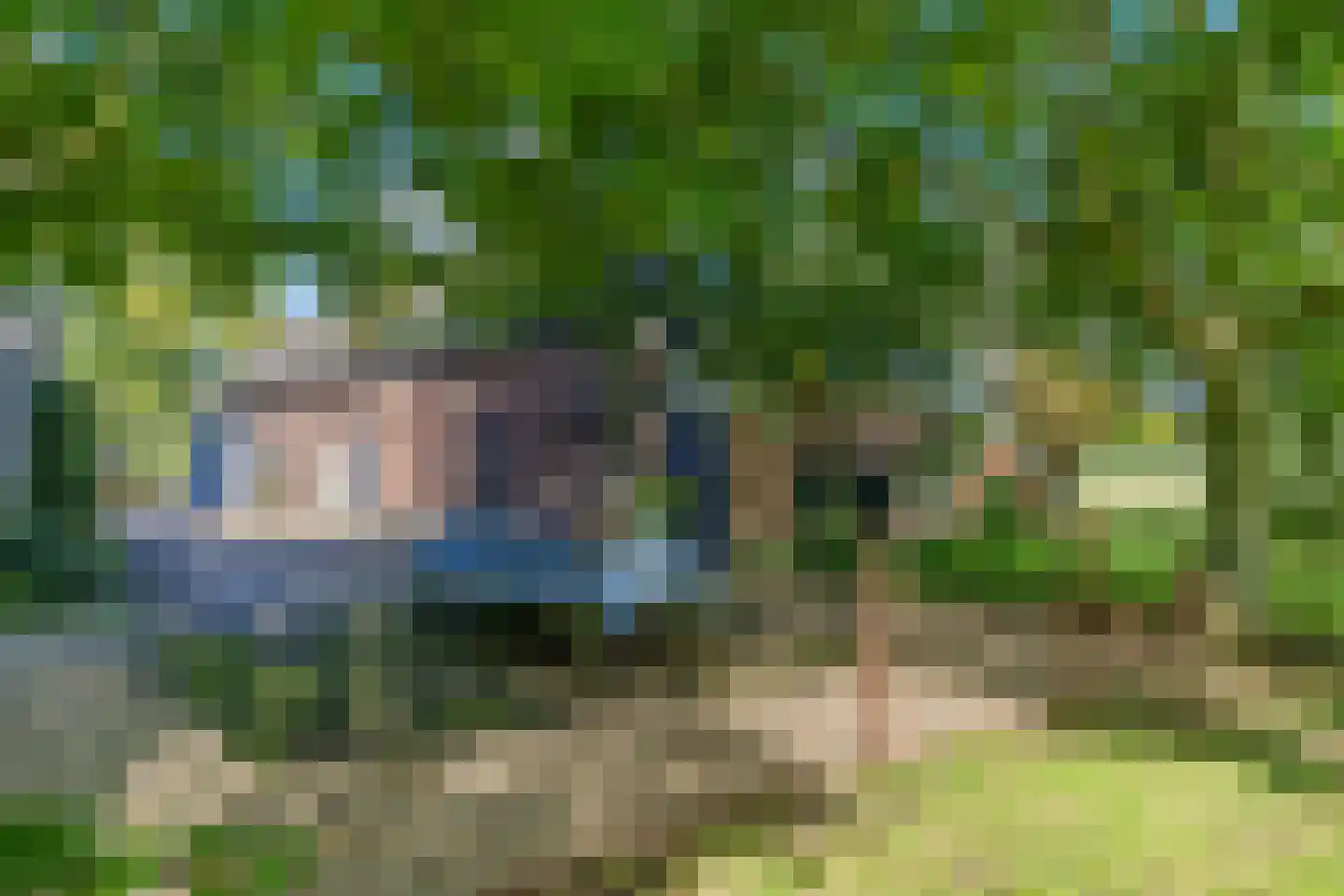 Parkweg 26 Vleuten thumbnail 53