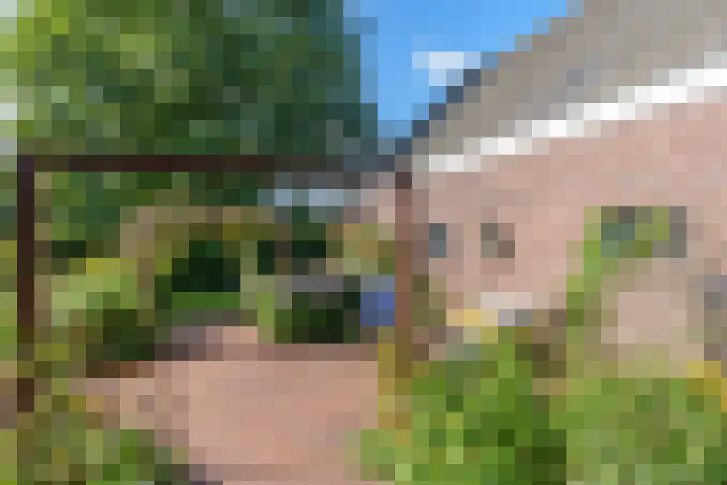 Parkweg 26 Vleuten thumbnail 57