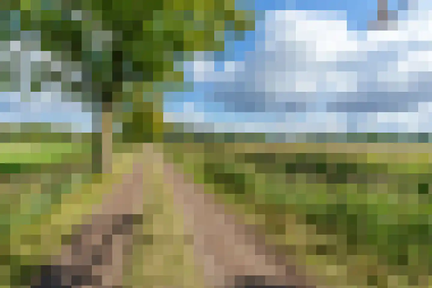 Parkweg 26 Vleuten thumbnail 61
