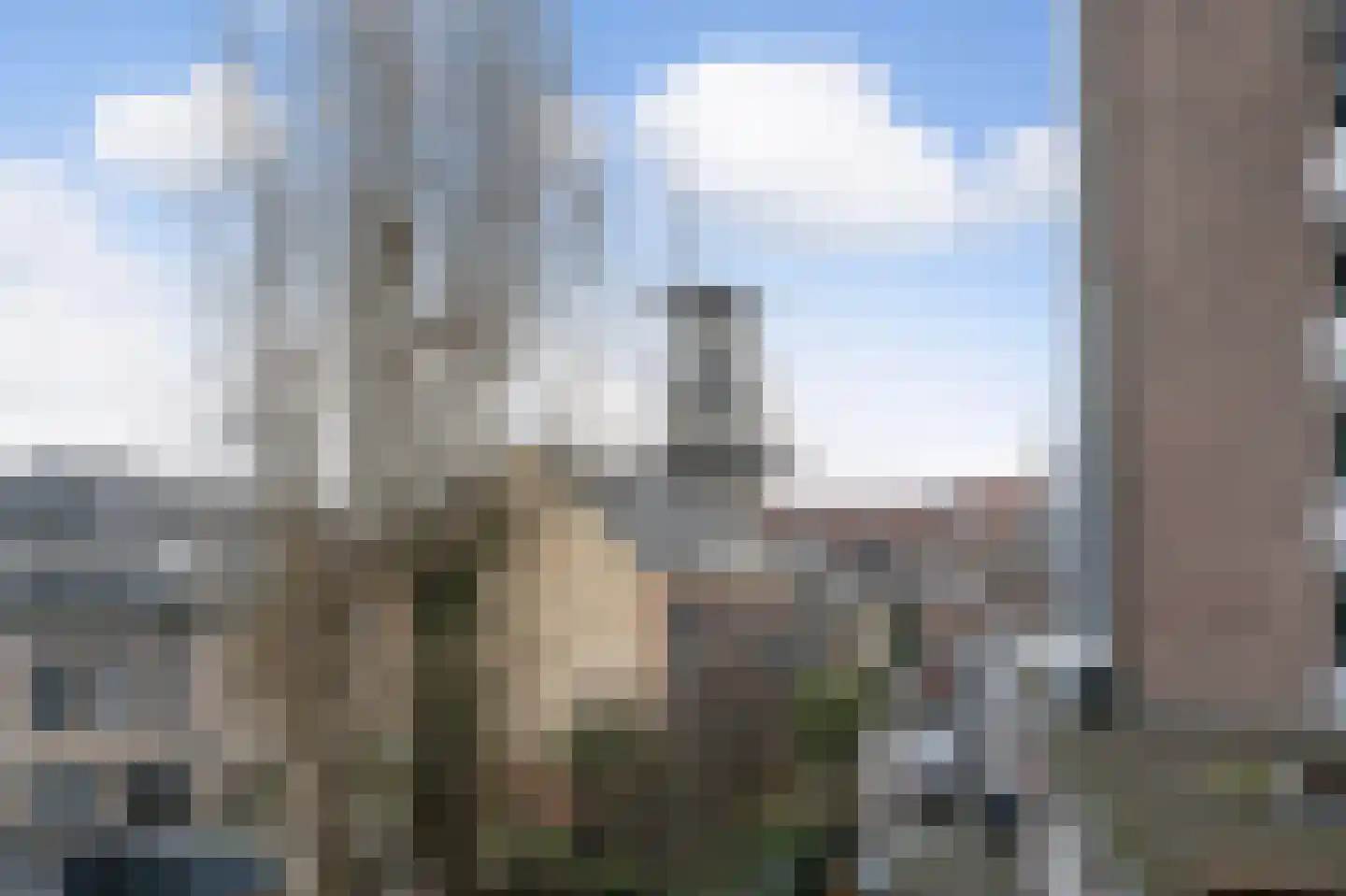 Parkweg 261 Schiedam thumbnail 7