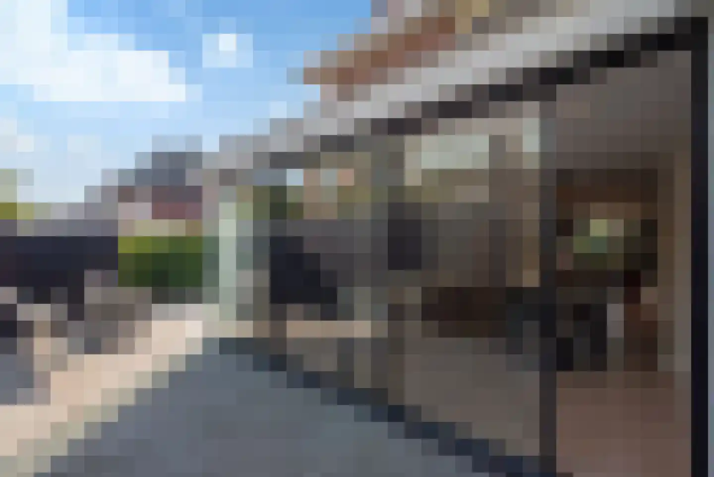 Parkweg 287 Voorburg thumbnail 19