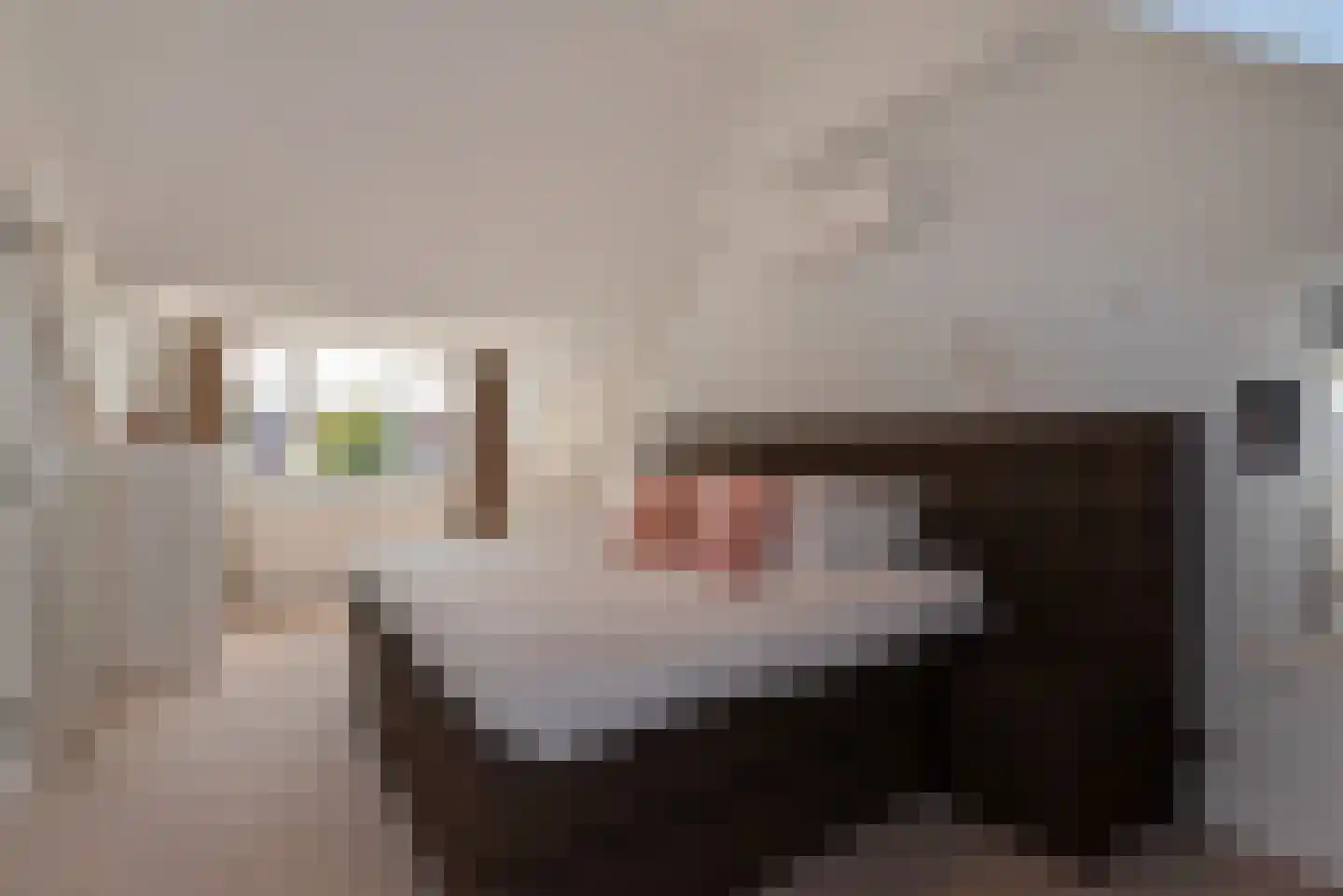Parkweg 287 Voorburg thumbnail 33