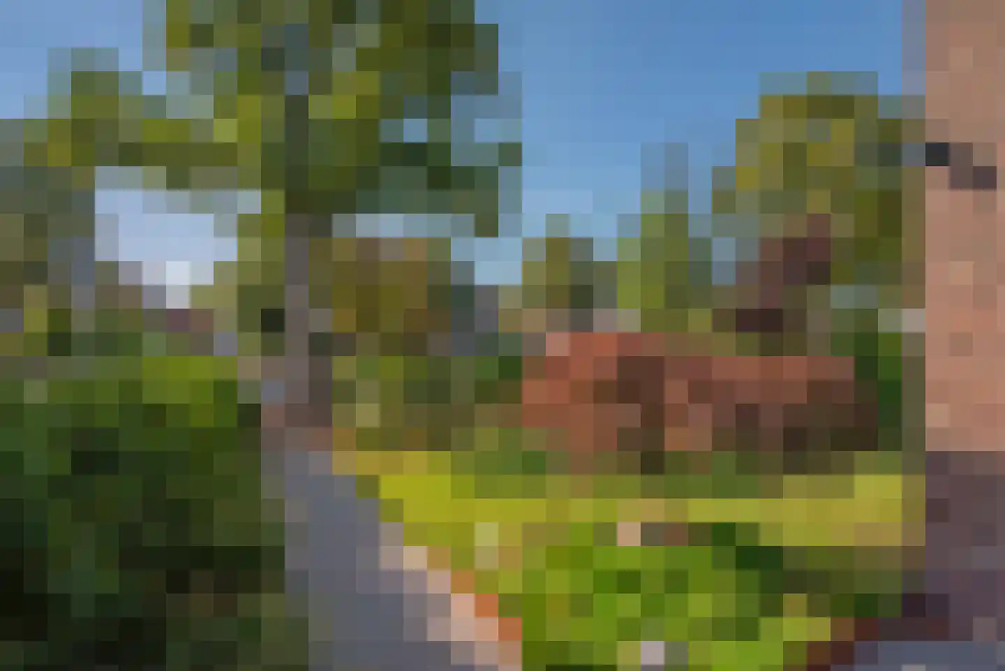 Parkweg 287 Voorburg thumbnail 5