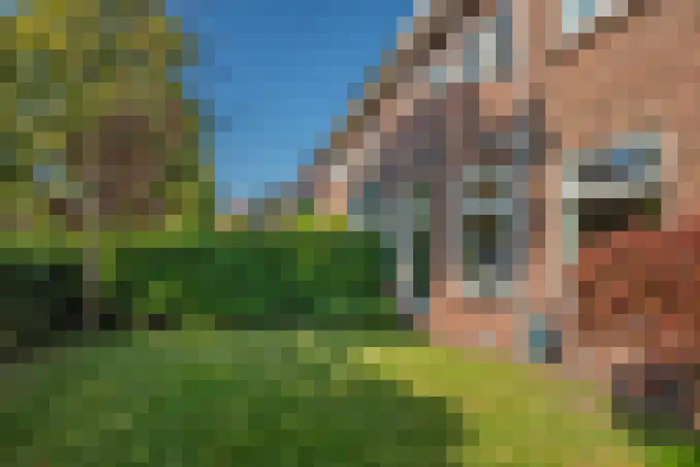 Parkweg 287 Voorburg thumbnail 6