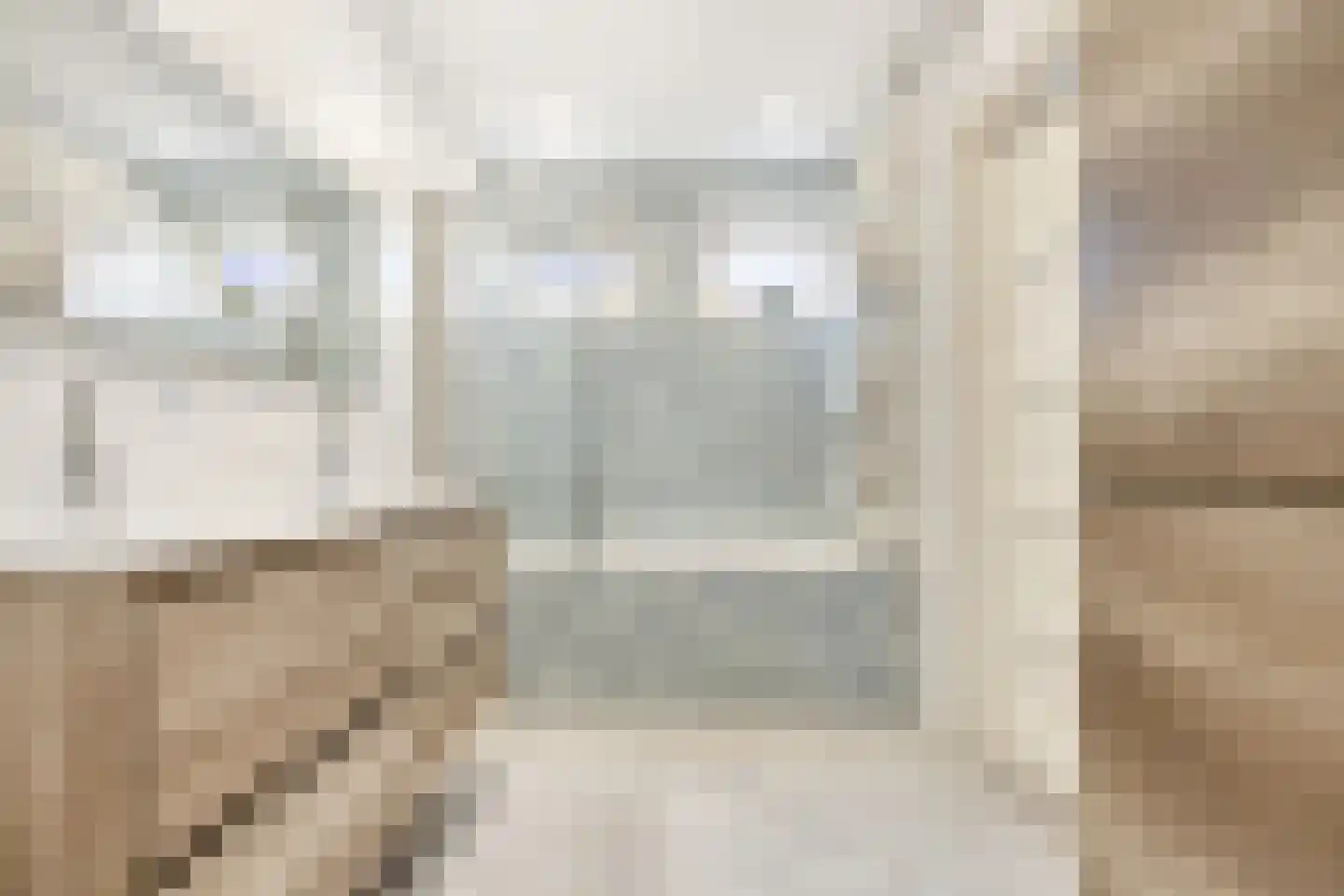 Parkweg 293 Voorburg thumbnail 22
