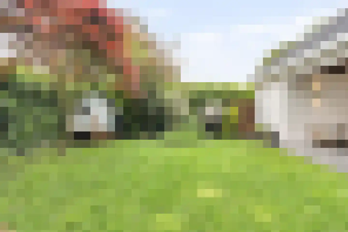 Parkweg 293 Voorburg thumbnail 35