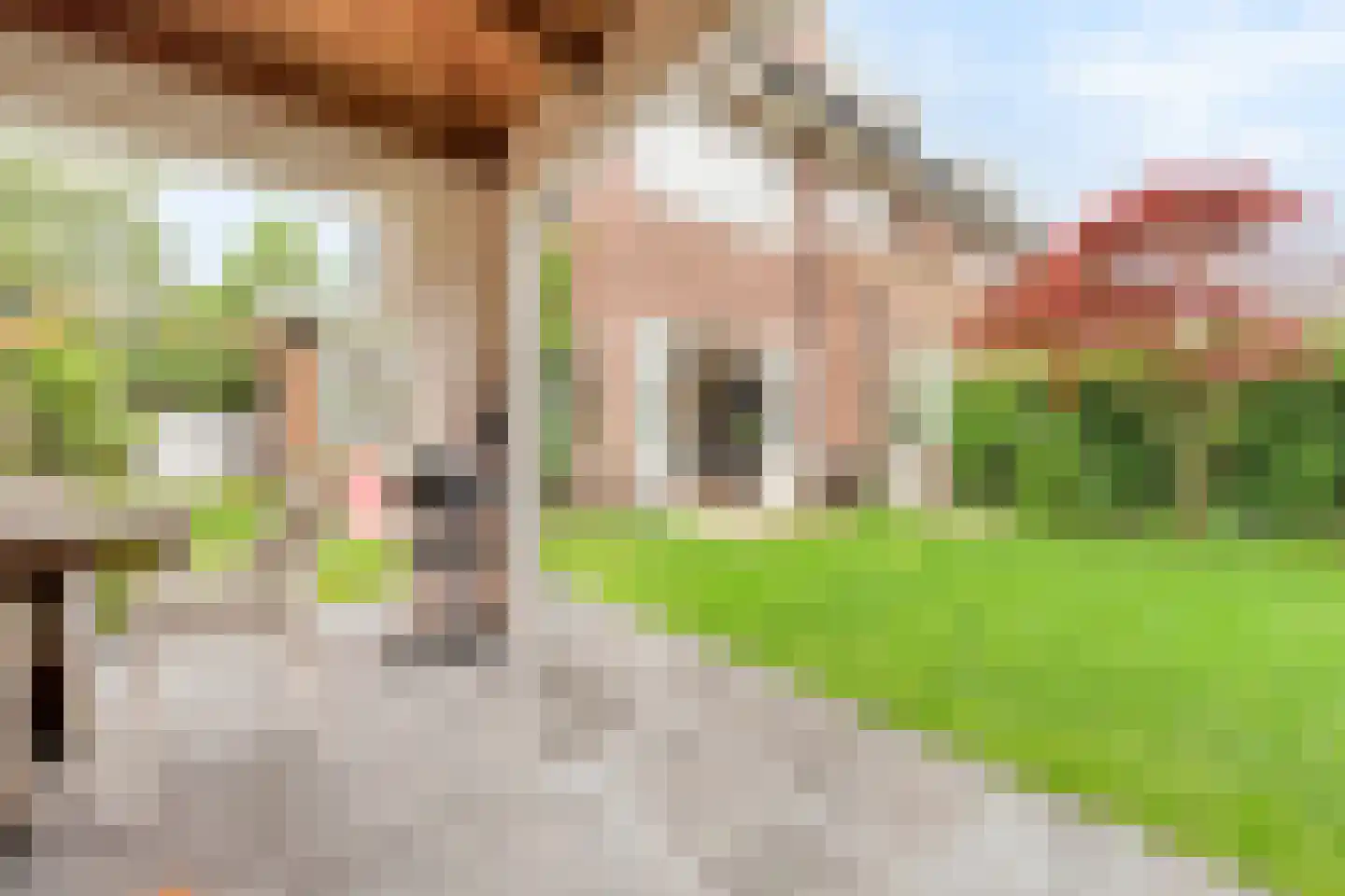 Parkweg 293 Voorburg thumbnail 37