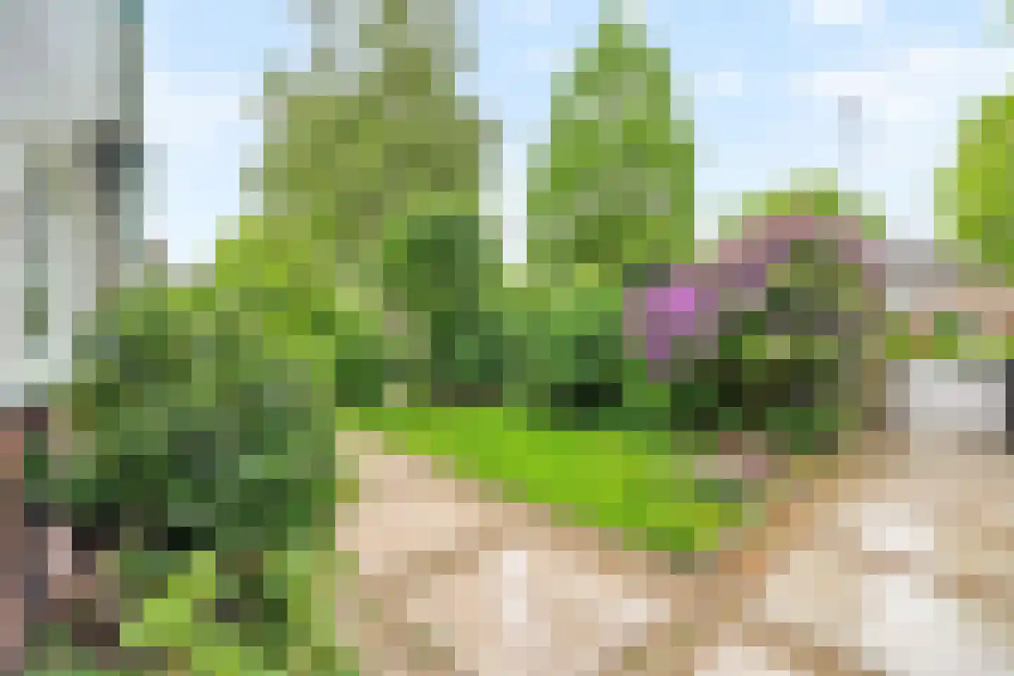 Parkweg 293 Voorburg thumbnail 40