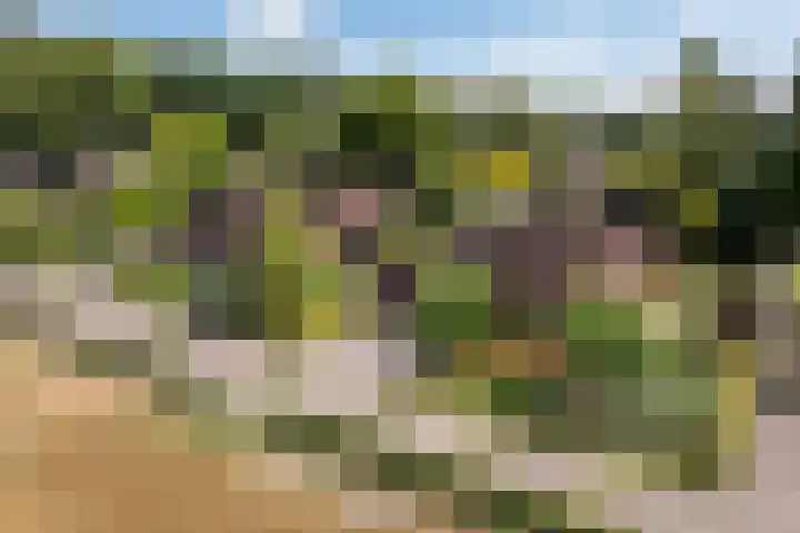 Parkweg 3 in Hoenderloo