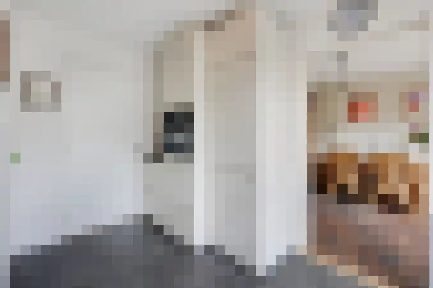 Parkweg 3 De Steeg thumbnail 16