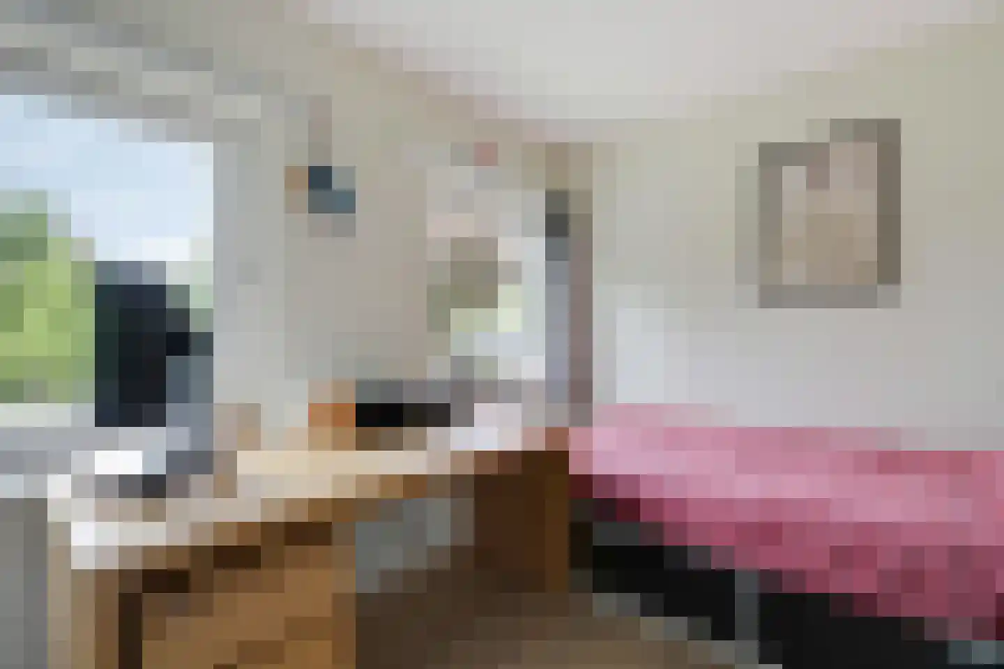 Parkweg 3 De Steeg thumbnail 19