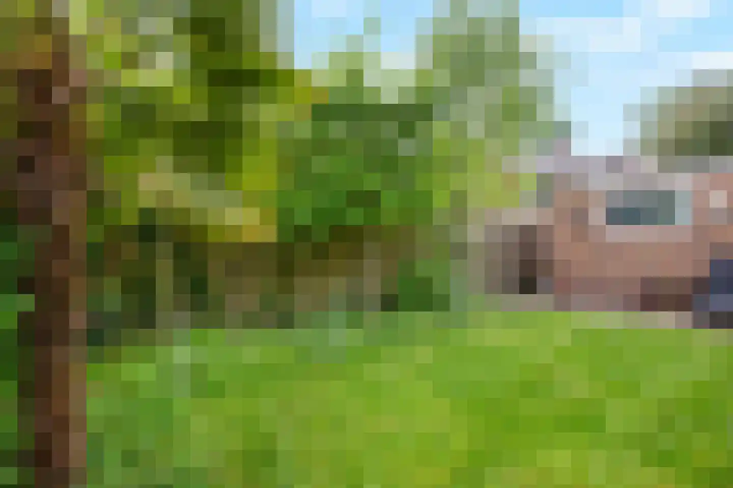 Parkweg 3 De Steeg thumbnail 26