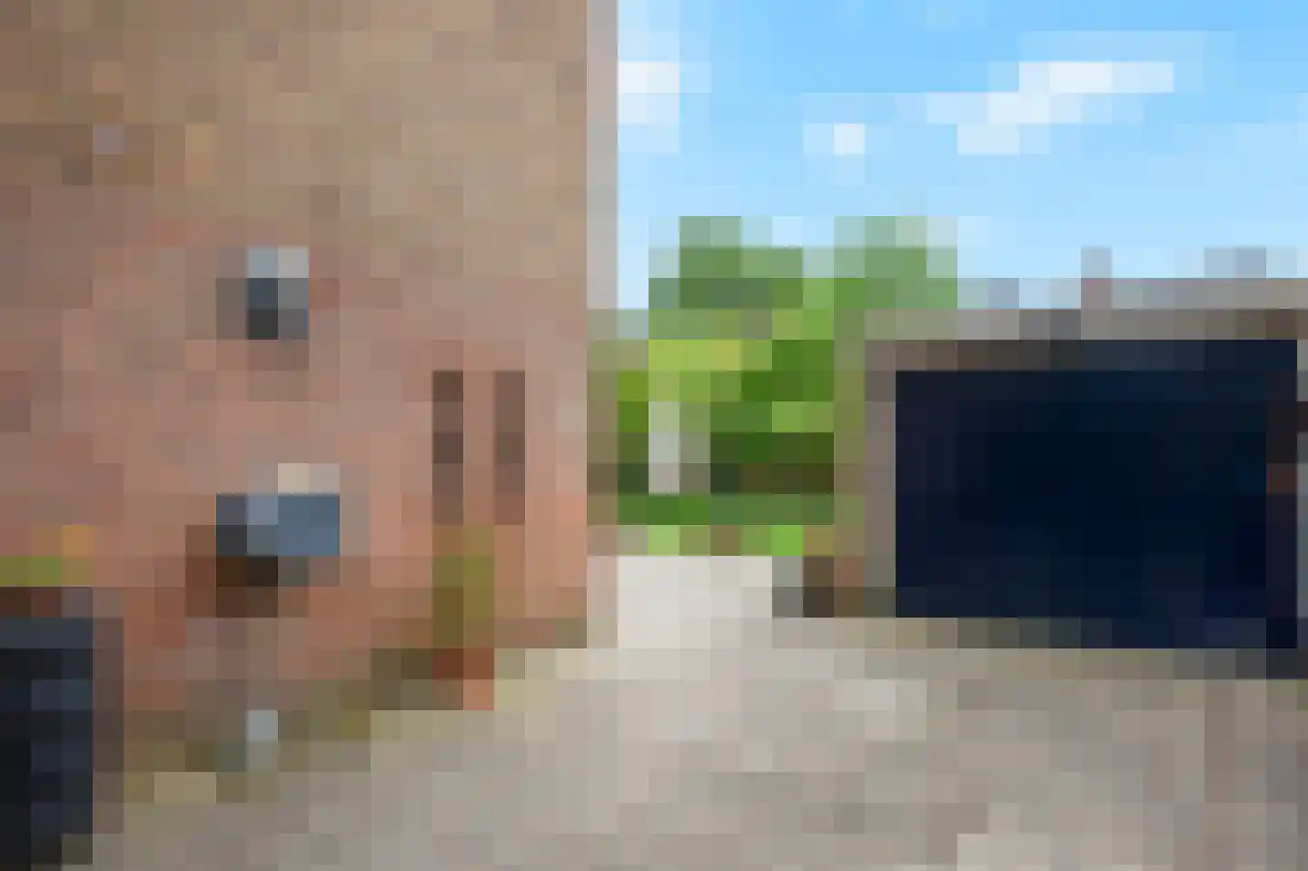 Parkweg 3 De Steeg thumbnail 30