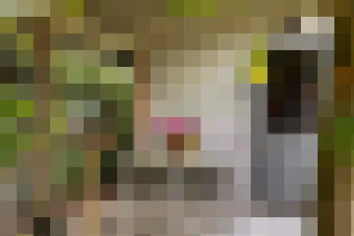 Parkweg 3 Hoenderloo thumbnail 51