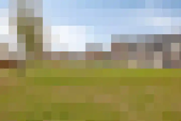Parkweg 30 Boekel thumbnail 27
