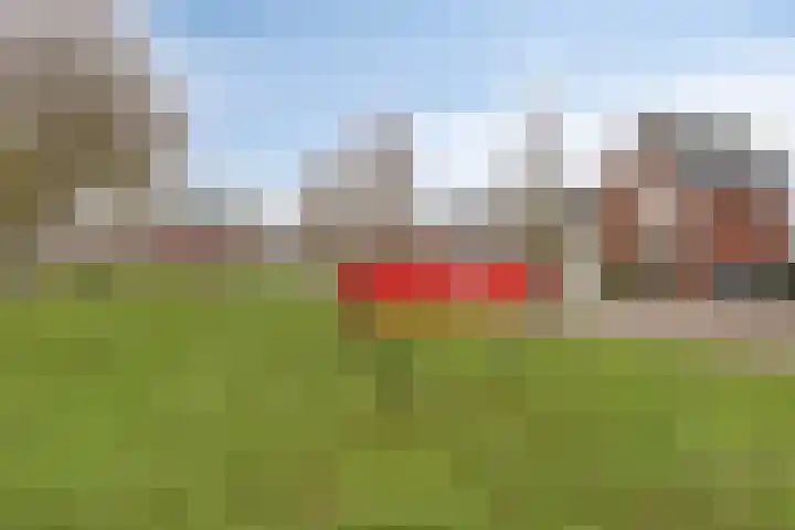 Parkweg 30 Boekel thumbnail 28