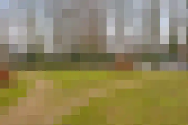 Parkweg 30 Boekel thumbnail 29
