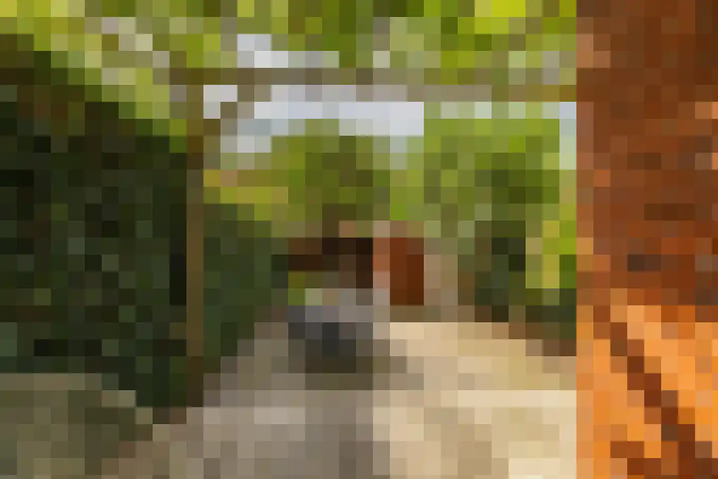 Parkweg 30 Groningen thumbnail 35