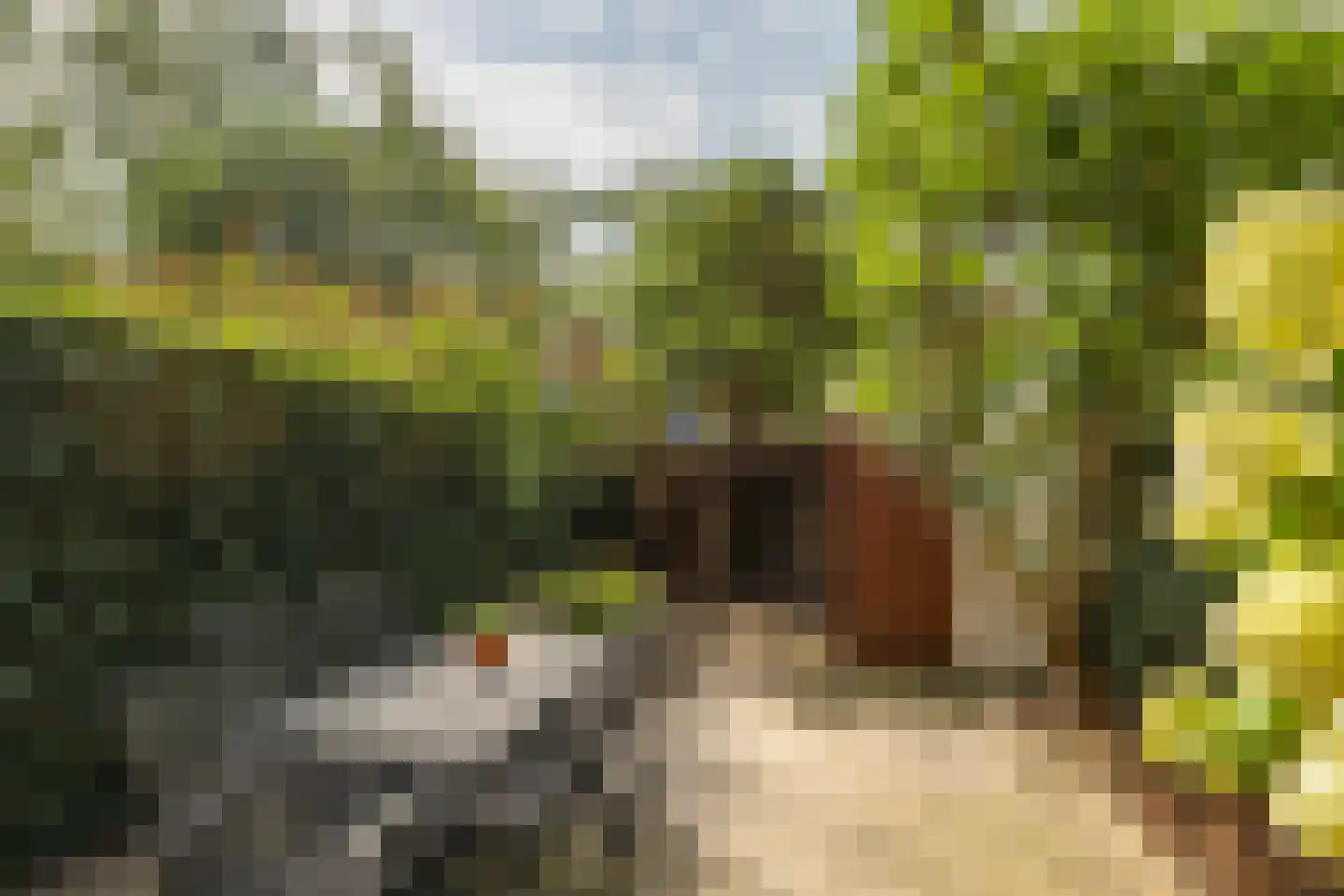 Parkweg 30 Groningen thumbnail 36