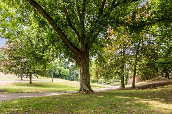 Parkweg 30 Nijmegen thumbnail 50