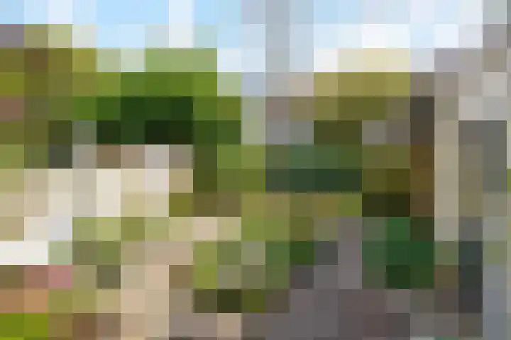 Parkweg 328 Voorburg thumbnail 21