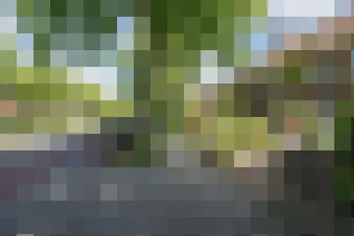 Parkweg 328 Voorburg thumbnail 61
