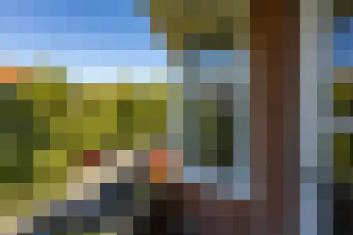 Parkweg 34 a Groningen thumbnail 18