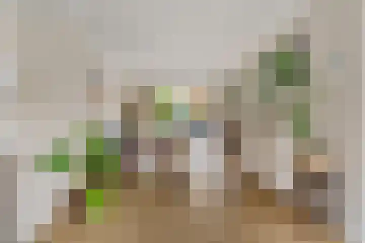 Parkweg 34 Maarssen thumbnail 9