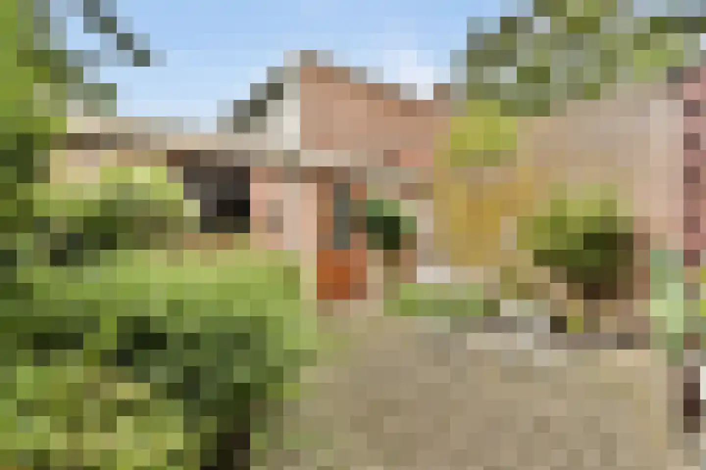 Parkweg 34 Vlaardingen thumbnail 11