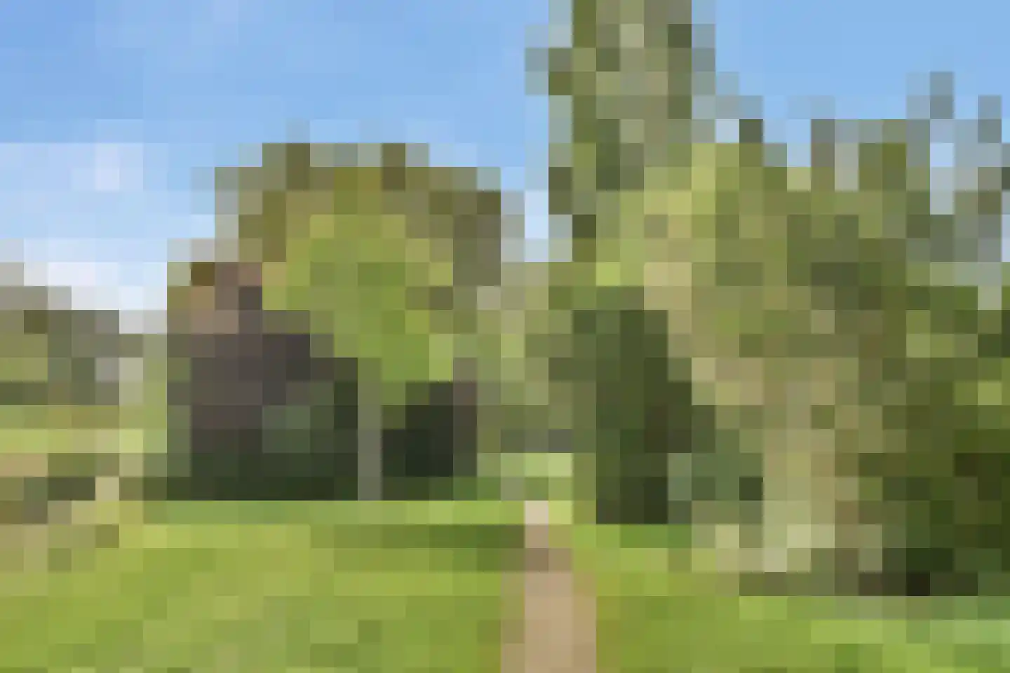 Parkweg 34 Vlaardingen thumbnail 35