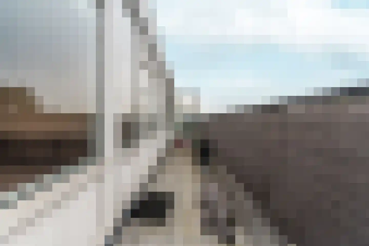 Parkweg 347 Schiedam thumbnail 27