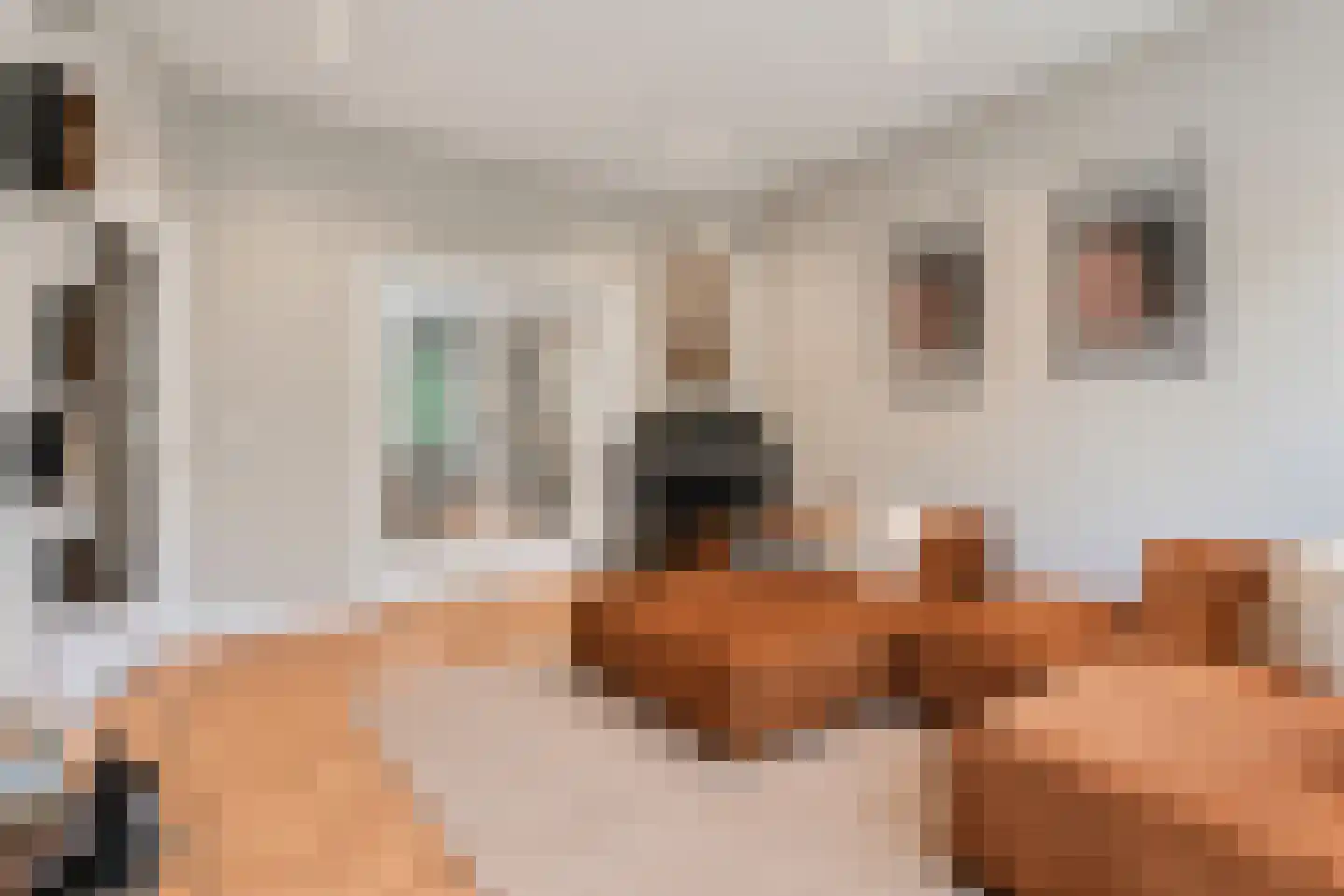 Parkweg 356 Voorburg thumbnail 10