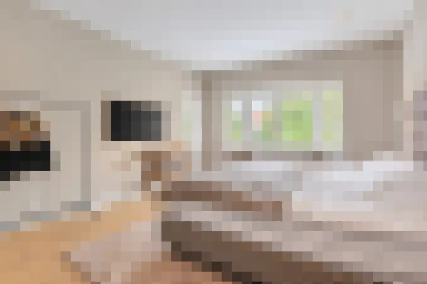 Parkweg 356 Voorburg thumbnail 23
