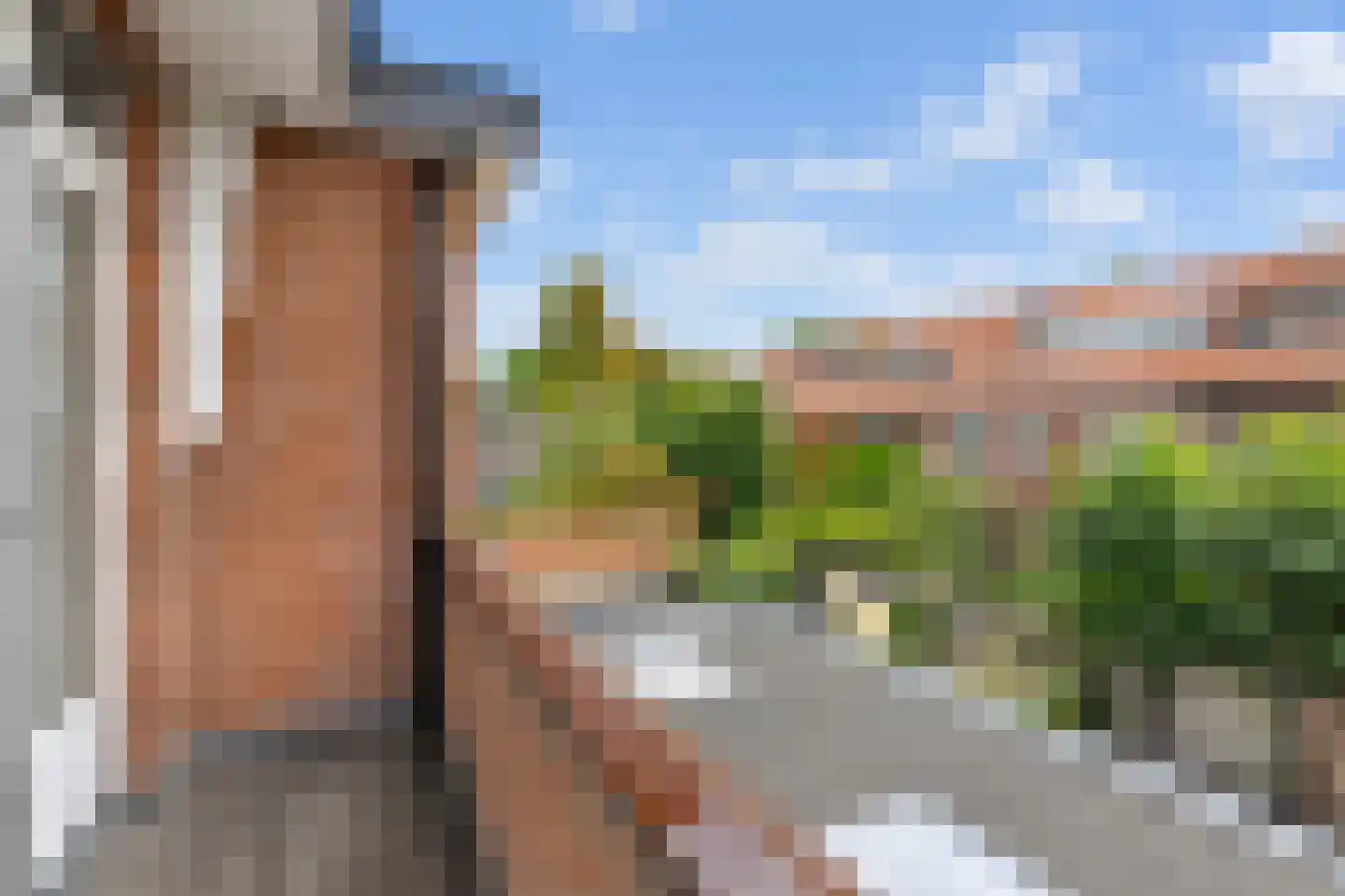 Parkweg 356 Voorburg thumbnail 39