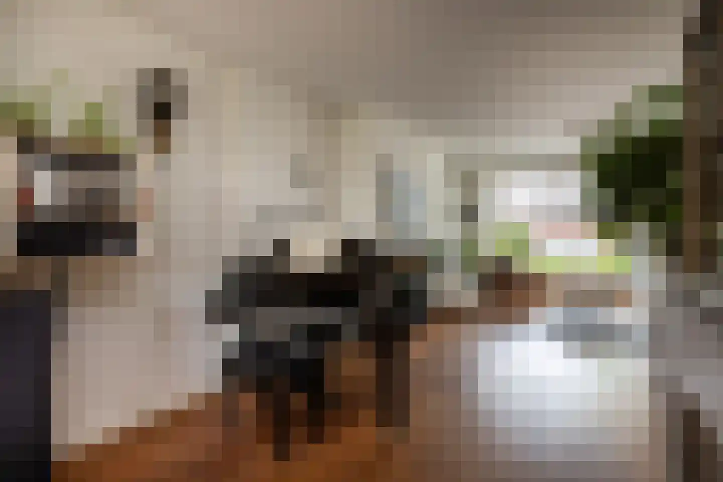 Parkweg 36 Maarssen thumbnail 5