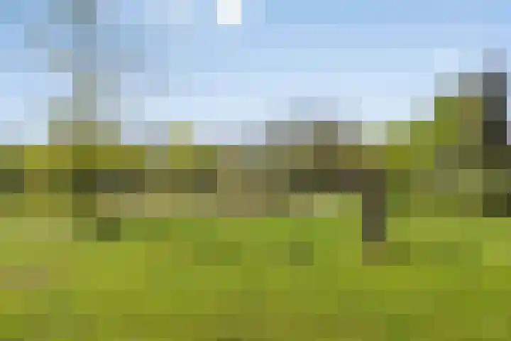 Parkweg 38 Haren Gn thumbnail 37