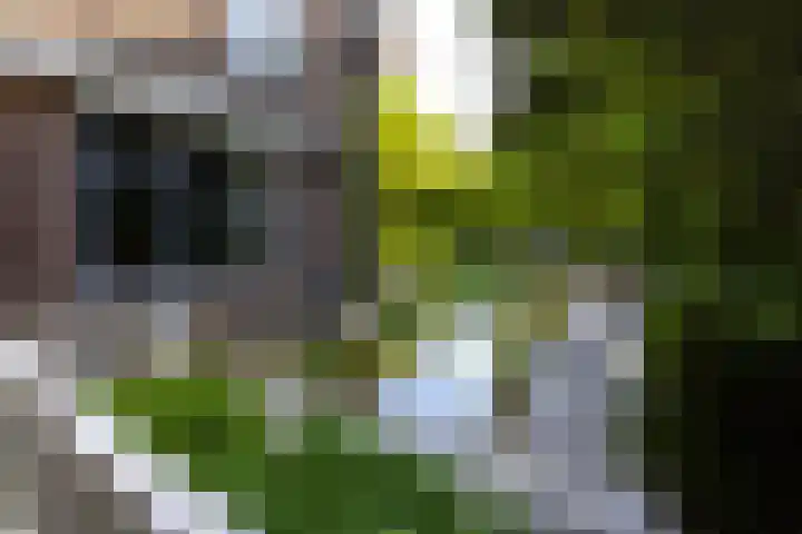 Parkweg 4 Deventer thumbnail 50