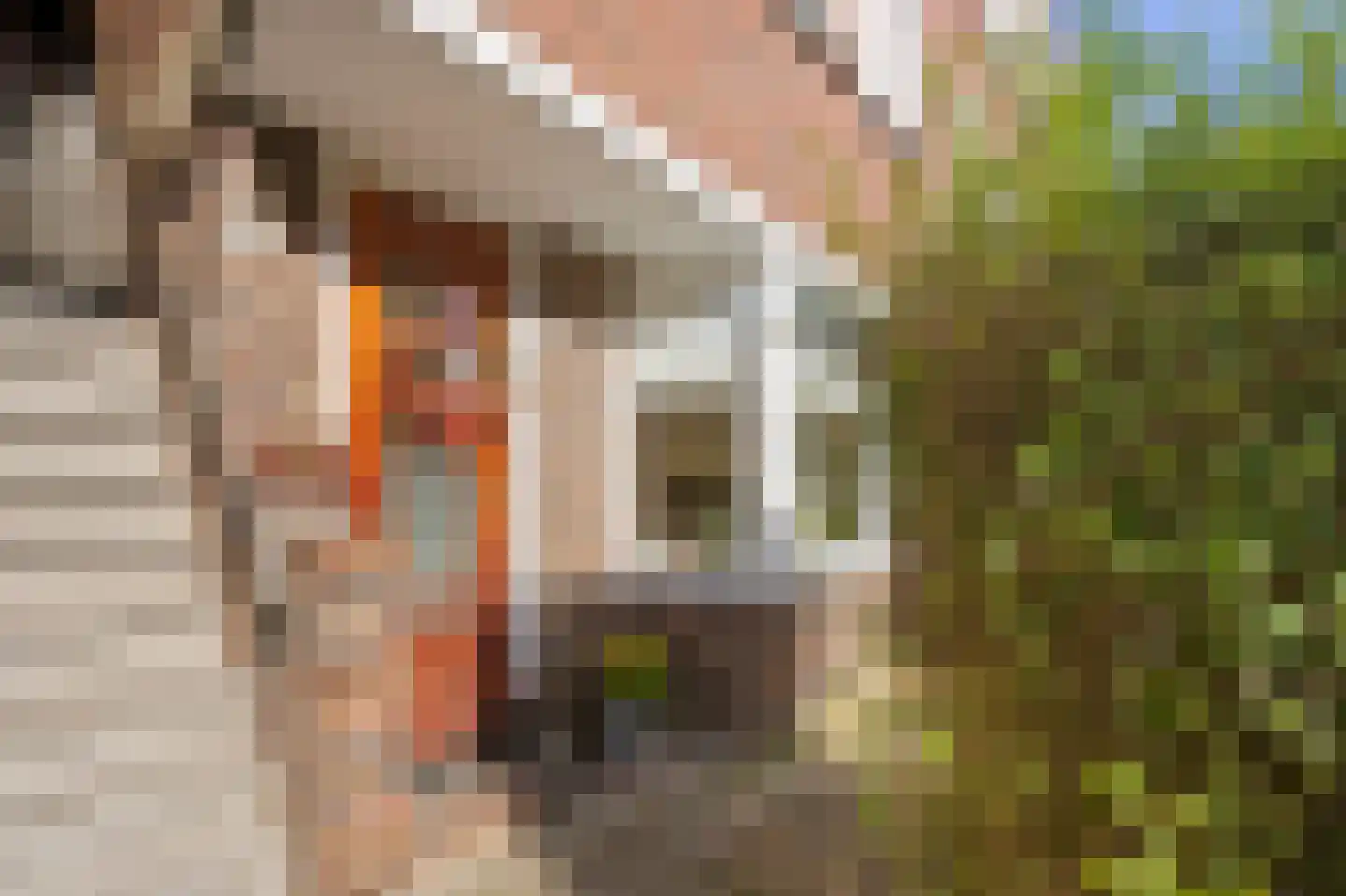 Parkweg 41 Groningen thumbnail 6