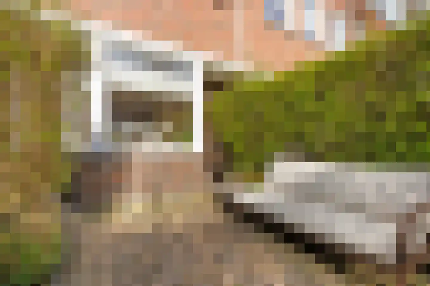 Parkweg 41 Groningen thumbnail 7