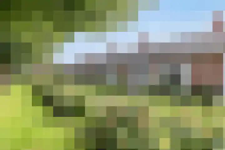 Parkweg 41 Haren Gn thumbnail 8