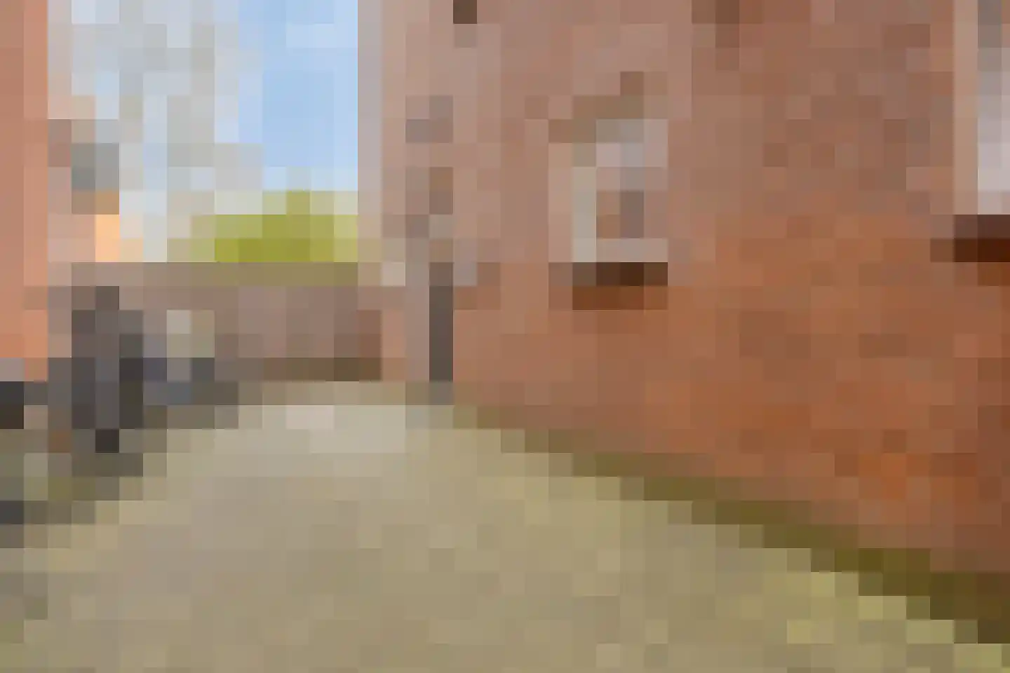 Parkweg 42 Ede thumbnail 7
