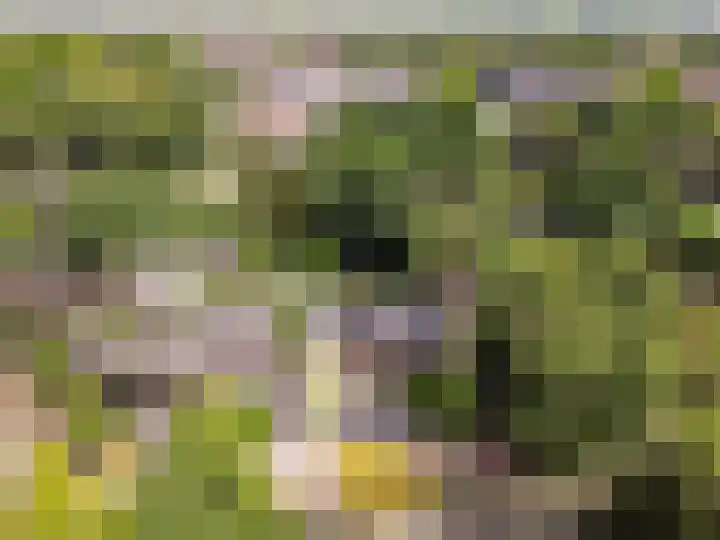 Parkweg 43 't Harde thumbnail 33