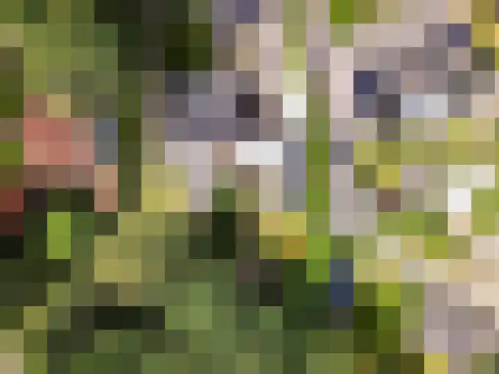 Parkweg 43 't Harde thumbnail 34